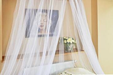 Фото номера Двухместный номер Делюкс с 1 кроватью Отель Ekohotel Wiktoria г. Констанцин-Езёрна 7